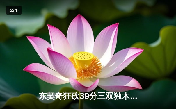 东契奇狂砍39分三双独木难支，凯尔特人团队篮球夺总决赛开门红 - 2
